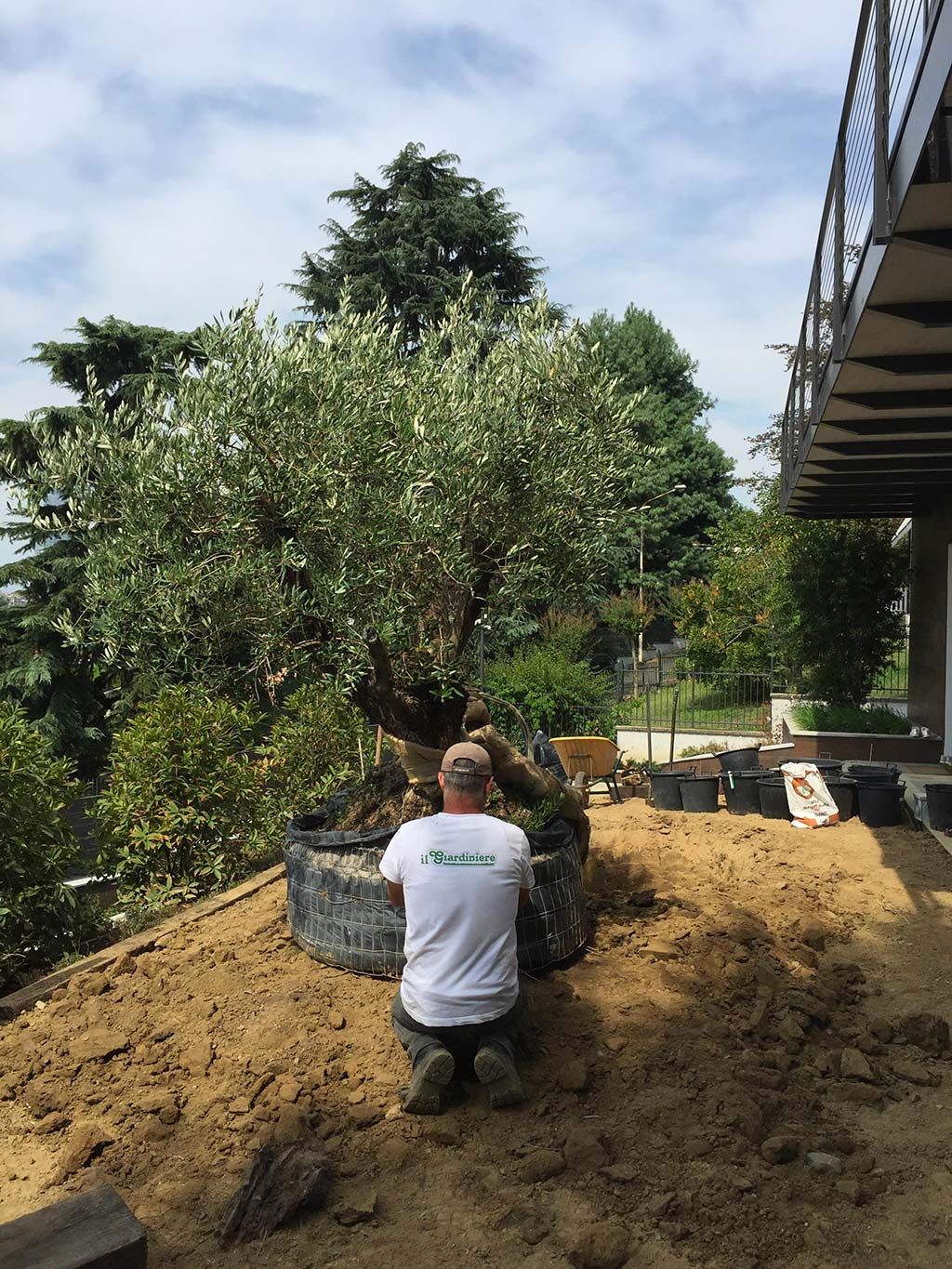 Il Giardiniere Giardini Irrigazione Potatura A Moncalieri Il