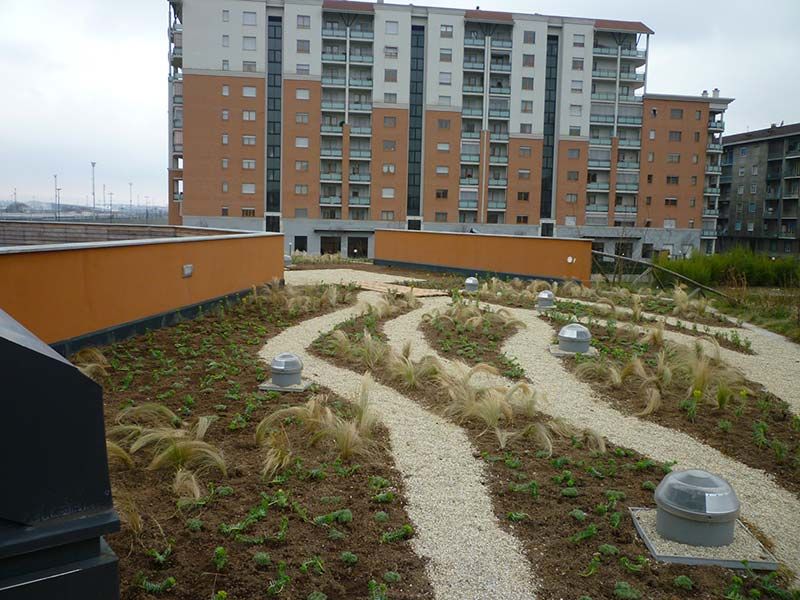 Verde Pensile Il Giardiniere Terrazzi Irrigazione Potatura