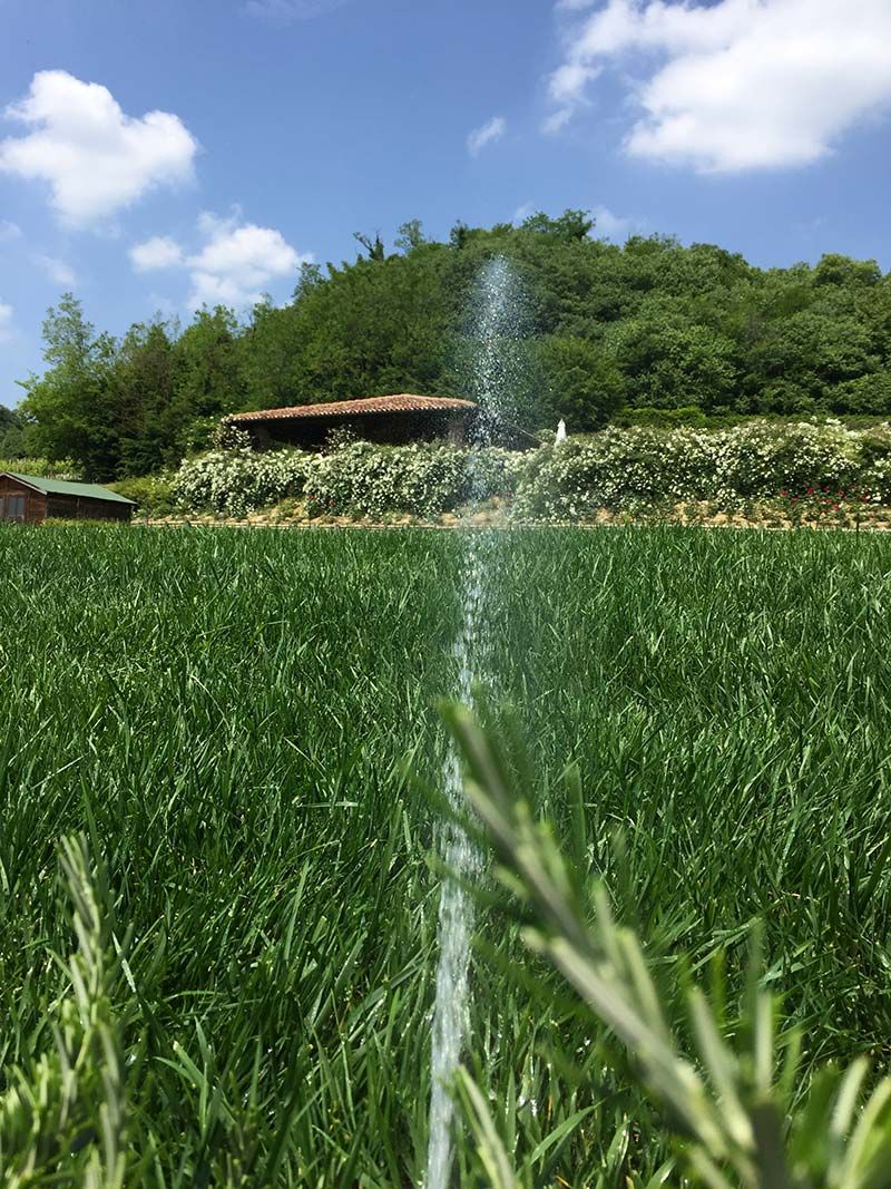 Impianti Di Irrigazione Per Il Tuo Giardino